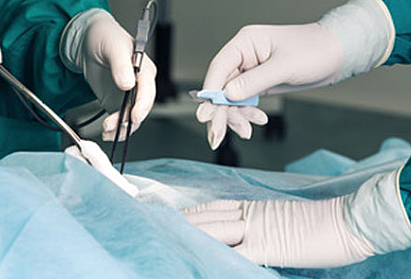 Trasplante De Útero