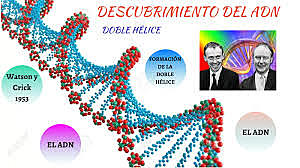 El biólogo estaunidense James Watson y el físico ingles Francis Crick