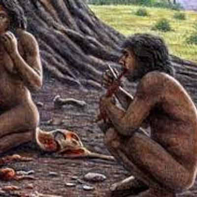 Timeline: Evolución