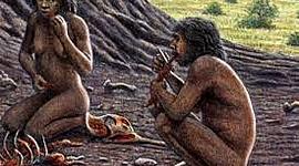 Timeline: Evolución