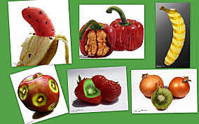 Plantas transgenicas