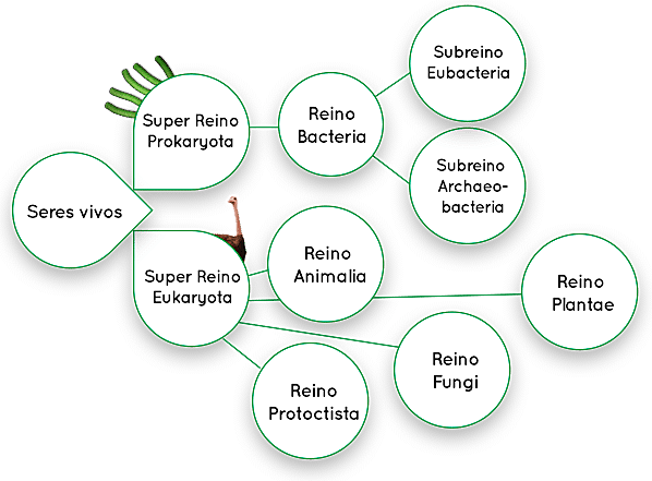 Lynn Margulis y Karlene Schwartz