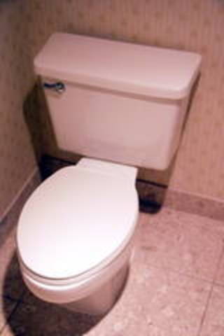 Termont hotel..the first hotel to have a flush toilet.