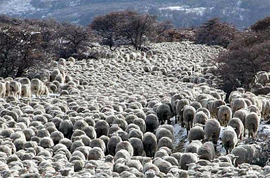 Actividad agropecuaria