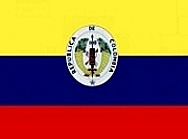 Bandera N°10
