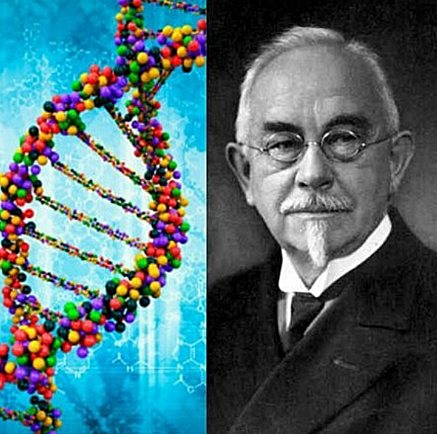 Botánico danés William Batson