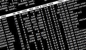 Lenguajes Imperativos