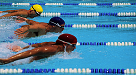 Timeline: Estilos de natación