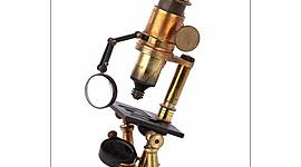 Timeline: Nacimiento Teoría Celular