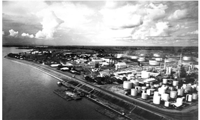 SE ESTABLECE SU ACTIVIDAD ECONÓMICA