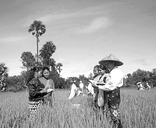 Las Escuelas Centrales Agrícolas pasaron a la Secretaría de Educación.