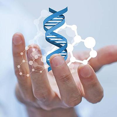 Timeline: Ingenieria Genetica