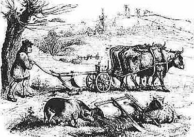 ESCUELA FISIOCRATICA