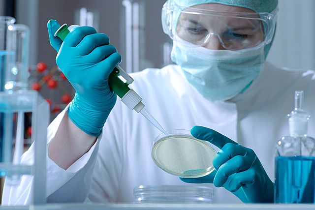 El miércoles santo para la Genética