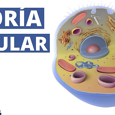 Timeline: Origen y evolución de las células y teoría de la endosimbiosis