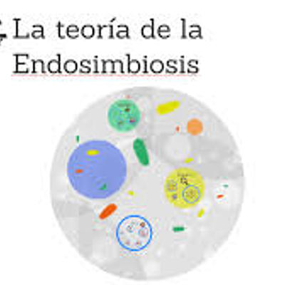 Timeline: LA TEORÍA DE LA ENDOSIMBIOSIS