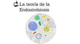 Timeline: LA TEORÍA DE LA ENDOSIMBIOSIS