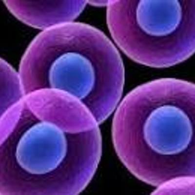 Timeline: ORIGEN Y EVOLUCIÓN DE LAS CÉLULAS