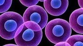 Timeline: ORIGEN Y EVOLUCIÓN DE LAS CÉLULAS