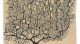 Timeline: evolución histórica del estudio de la neurona