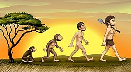 Timeline: La evolución del hombre