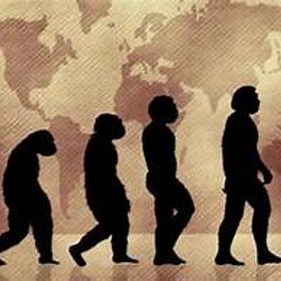 Timeline: La evolución