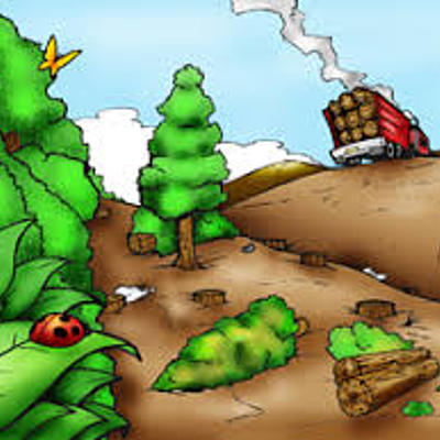 Timeline: Acuerdos y Tratados Ambientales desde el año 2000