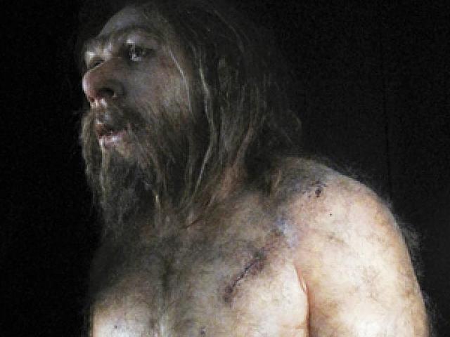 Homo heidelbergensis.