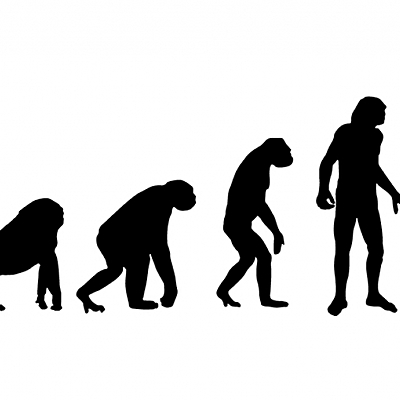 Timeline: linea de tiempo evolutiva de la especie humana
