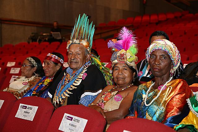 RECONOCIMIENTO DEL DERECHO DE LAS PROPIEDADES COLECTIVAS DE LA TIERRA DE LAS COMUNIDADES NEGRAS 1995