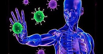 Jerne Nils Kaj Melanges