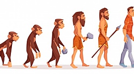 Timeline: Escuelas de Pensamiento Antropológico