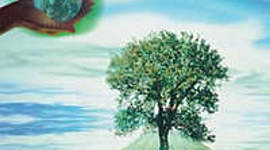 Timeline: ACUERDOS Y TRATADOS AMBIENTALES