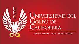 Timeline: HISTORICOS DE LA AUDITORIA ADMINISTRATIVA