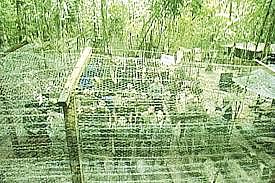 Intercambio Humanitario