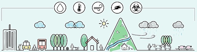 Determinaciones químicas y estado de salud