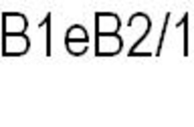 CITE/MI - Preparação - reunião com professores