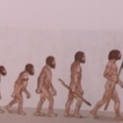 Timeline: Línea evolutiva de la especie humana