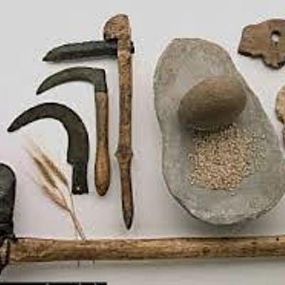 Timeline: Linea del tiempo