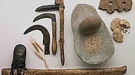 Timeline: Linea del tiempo