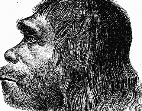Origen del Homo sapiens