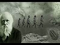 Teoria de nuestro origen