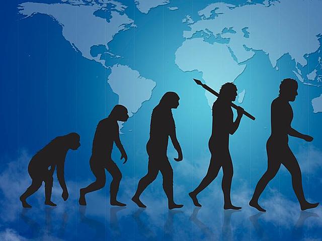 Linea evolutiva de los hominidos