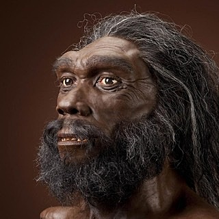 Homo Heidelbergensis