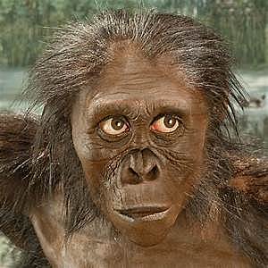 Australopithecus anamensis