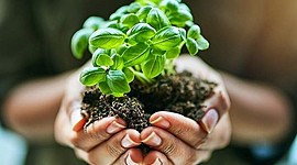 Timeline: EL MARAVILLOSO MUNDO DE LOS REINOS DE LA NATURALEZA