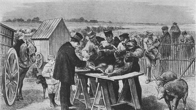 Disciplina de la Inmunología