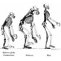 INICIO DE INVESTIGACIONES