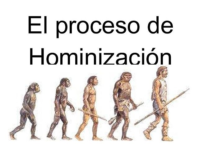 PROCESO DE EVOLUCIÓN Y HOMINIZACIÓN