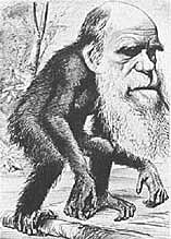 Darwinismo social de inspiración holista